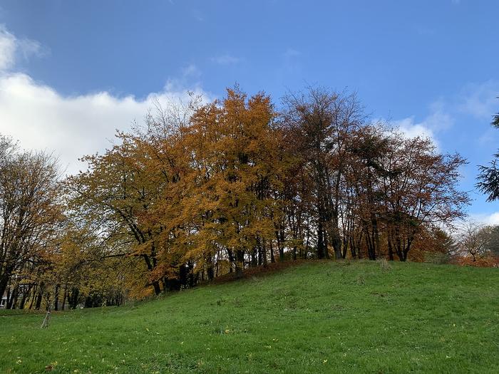 Parc_Montreau_Montreuil